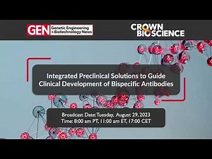 Integrated Preclinical Solutions to Guide Clinical Development of Bispecific Antibodies
