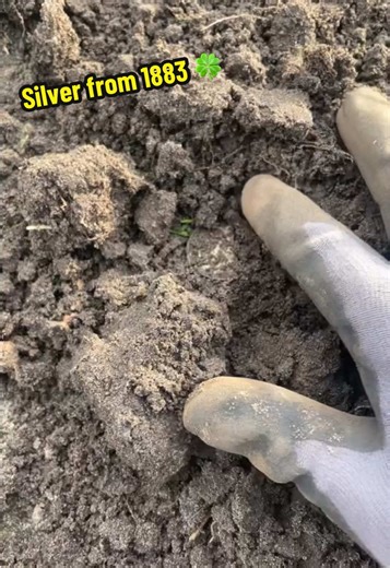 Discovering 1883 Silver Through Metal Detecting