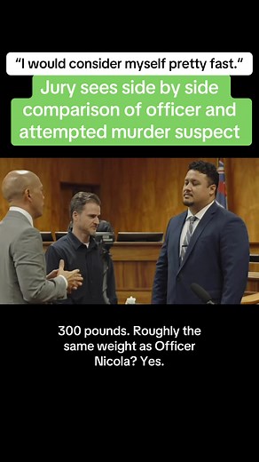 Hawaii Attempted Murder Suspect's Lawyer Compares Suspect to Officer