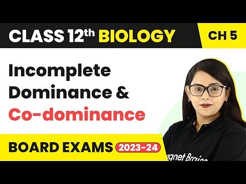 Class 12 Biology Ch 5|Exception of Mendelian Principle,Incomplete Dominance & Co-dominance CBSE/NEET