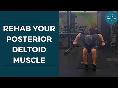 Posterior deltoid muscle rehab | The Musculoskeletal Clinic