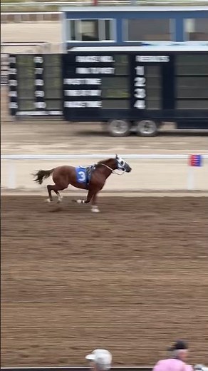 Jockey Falls of Horse Racing Accidents Sweetwater Downs Wyoming #wyoming Horses Race Gambling 🐴