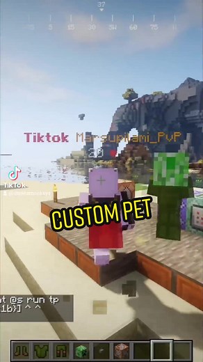 Easy custom pet 😈 #java #minecraft #commands #fyp #minecraftbuilding