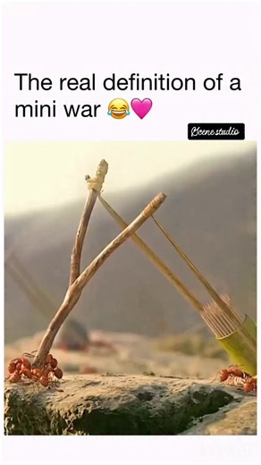 comady cartoon | the pill 🤣 🎥 minuscule: valley of the lost ants: In a peaceful little clearing, the remains of a hastily abandoned picnic sparks a battle... | Instagram