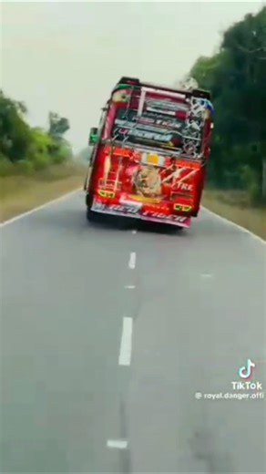 RED TIGER #automobile #vahicles #newbusvideo #driver #trending
