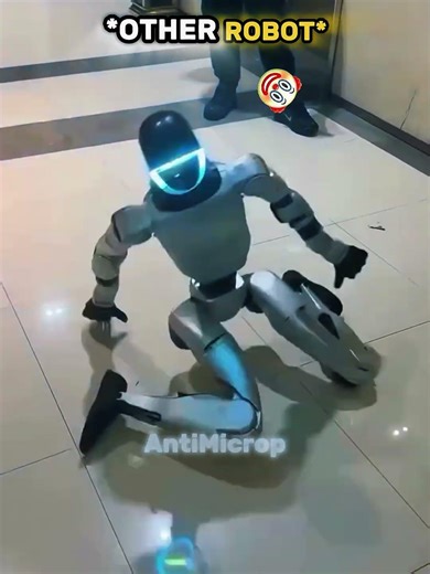 Normal Robotskill VS King of robot