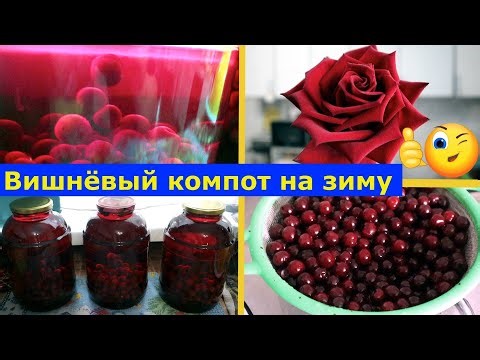 VLOG 29-31.07.2025г. Внушающие размеры редиски и огурцов.Варенье и компот из вишни. #садиогород