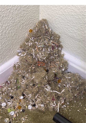 Vacuum Cleaner ASMR: Corner Pile Cleaning Technique