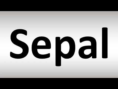 How to Pronounce Sepal