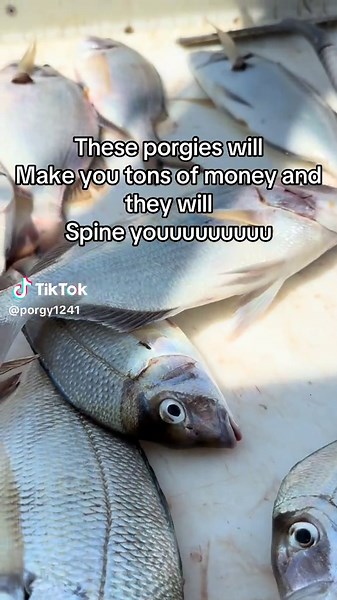 Exploring Party Boat Fishing Adventures