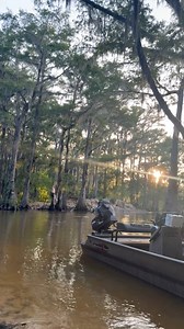 218K views · 5.6K reactions | We hope your weekends look a lot like this! ☀️ #GatorTail #GatorTailOutboards #GTR40XD #Vanguard #AmericanMade #CaddoLake #GatorTailNation : @chance.campbell318 | Gator-Tail Outboards | Facebook