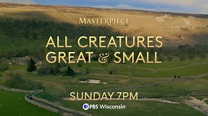 16K views · 878 reactions | Get ready for this January's all-new season of All Creatures Great and Small with three of your favorite episodes tonight, Snday, Dec. 17, starting at 7 on PBS Wisconsin! Are you a PBS Wisconsin Passport member? Stream the full series now on the PBS App on all streaming devices and Smart TVs! pbswisconsin.org/watch/all-creatures-great-and-small/ | PBS Wisconsin | Facebook