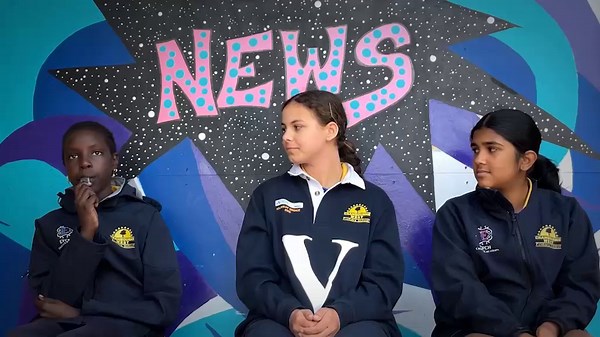 Human-Powered Vehicles