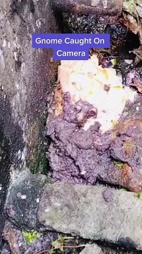 Gnome Caught On Camera - Paranormal Activity Video