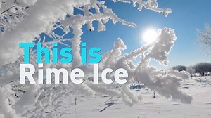 See the winter phenomenon known as rime ice, which occurs when ice forms on the outside of things as temperatures get cold enough to freeze fog. Rime ice formed last week in the city of Ergun in Inner Mongolia, China. | CGTN America
