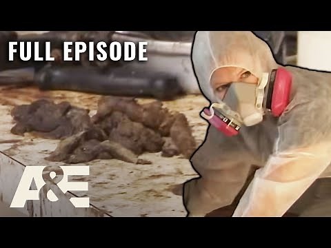 30 Sick Cats, Ruined Homes, and Lives at Risk (S3, E6) | Hoarders | Full Episode
