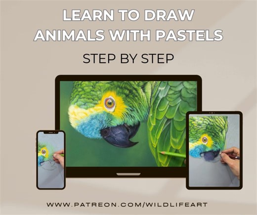 fancy learning to draw animals with pastels? Over 25 years teaching art over 1500 members | Jason Morgan Wildlife Art