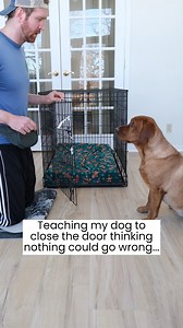 Ruby rescues Pearl from jail! | Ruby the Labrador