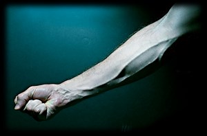 Human Evolution Hasn't Ended Yet; Scientists Notice People Growing Extra Artery in Their Arms