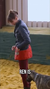 Watch as Ren learns by observing another dog get rewarded! It's social learning at its finest. No pressure, just positive reinforcement and a little bit of doggy see, doggy do. So rewarding! #ItsMeOrTheDog #Dogs #DogTraining #SocialLearning #DogBehavior #PositiveReinforcement #DogTricks | Me Or The Dog