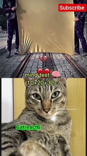 real aura #catbombastic #cat #funnymemes #catreaction #catmoments #subscribe #viralcats