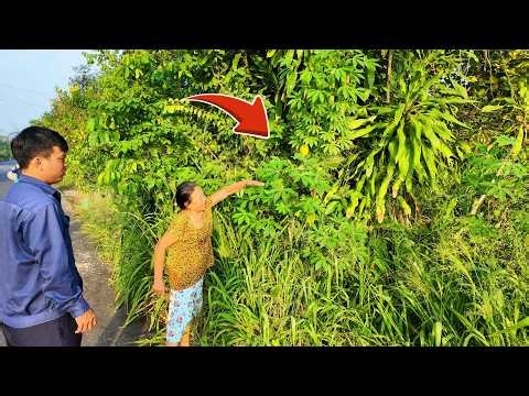 HER HOUSE DISAPPEARED BEHIND A JUNGLE — We Cleared the Fence & Abandoned Home in 6 Hours
