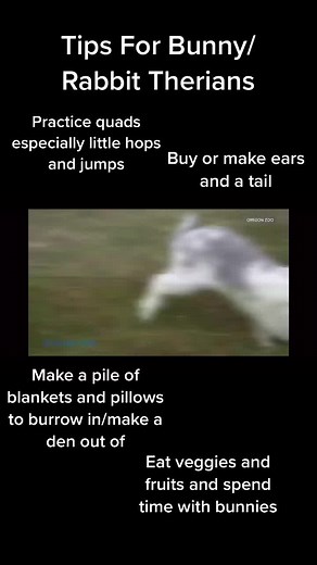 Tips For Bunny/Rabbit Therians