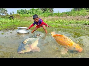 Best Hand Fishing | Amazing Boy Catching Big Fish By Hand in Pond Water