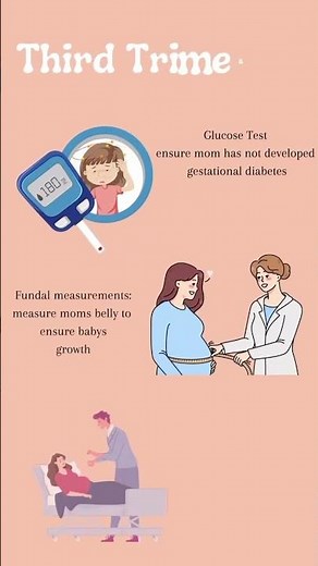 Prenatal Appointments by Trimester: What to Expect at Each Stage! 🤰