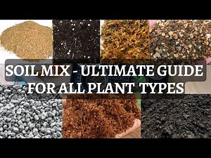 Soil mix for plants - ULTIMATE GUIDE