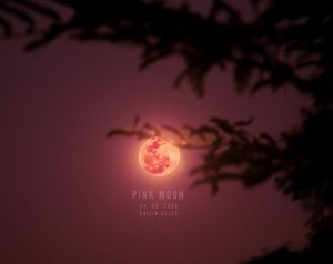 LOOK: Full Pink Moon
