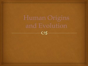 PPT - Human Origins and Evolution PowerPoint Presentation, free download - ID:2097641