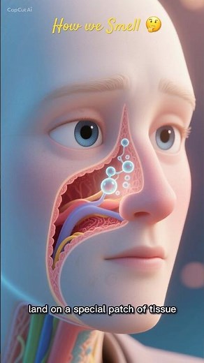 👃 How We Smell | Sense of Smell Explained | Medical Facts