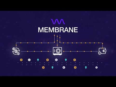 Crypto Collateral Management: Margining, Eligibility, Calls | Membrane Labs