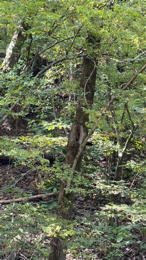 10 comments | Creative Cookier on Reels | Facebook