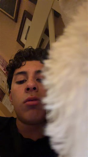 Post show core #colorguard #viral #wgi #fyp #2026 | colorguard