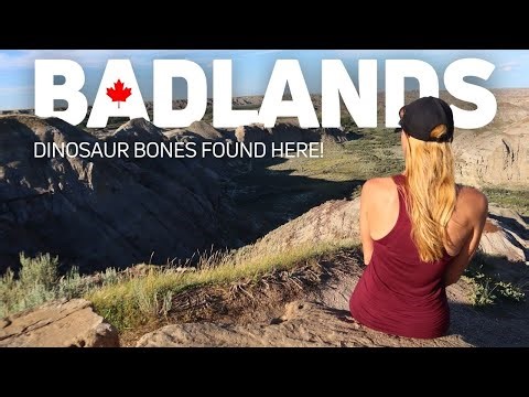 Fossils and Badlands; What to Expect From Dinosaur Provincial Park