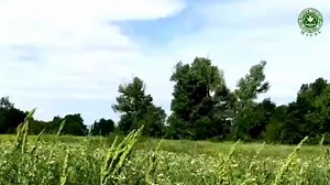 18K views · 802 reactions | AGTAYAB KA A KAS AGILA Lyrics: Bishop Moses Chungalao Vocals: Pastor Aldrin Oggang with FBCFI Music Team | Free Believers in Christ Fellowship International-Macau | Facebook