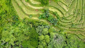 7 Desa Wisata Indonesia yang Wajib Kamu Kunjungi Sekali Seumur Hidup