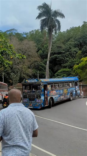 🐝💙 #hilights #followers #fypシ #viral #foryoupageシ #d_tharindu | bus pancha