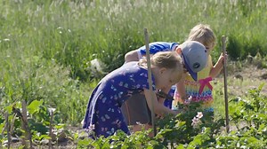 Ces couples se sont formés devant nos yeux, voyez maintenant à quoi ressemble leur réalité d'agriculteurs! Ne manquez pas la nouvelle série La famille est dans le pré, dès le 8 octobre 19h30. En plus, on est en débrouillage jusqu'au 11 octobre. 😉 | Canal Vie
