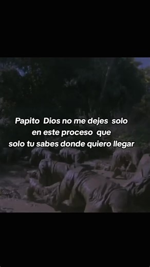 #fyp #parati #parati #foryoupage #foryou #army #military #ejercito #sueñomilitar #ejercitoecuatoriano🇪🇨 #infanteriademarina🇲🇽⚓ #ejercitomexicano #ejercitochileno🇨🇱 #ecuador🇪🇨 #mexico🇲🇽 #peru🇵🇪 #chile🇨🇱 #comando #esforse🇪🇨ecuador❤💂‍♂️☠🤙 #militar #motivation #fuerzasespeciales #comandos #recon #geo #infanteria #fae #marina#fuerzaarmadas #fuerzaaereaecuatoriana