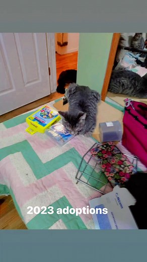 Run Around Sue on Reels