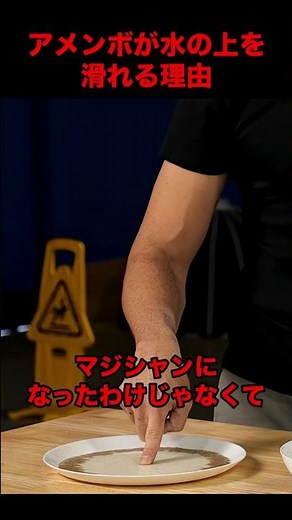 【衝撃】アメンボが水の上を滑れる理由#shorts #shortvideo #science #雑学 #科学技術 #科学 #実験 #プチ知識