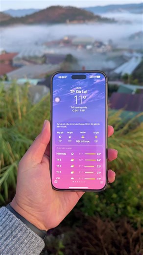 Đà Lạt ngày 31/12/2025 ngày cuối cùng của năm #dalat #reviewcungmap #isbtalents #sanmay