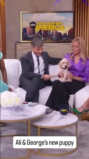 George & Ali show off new puppy