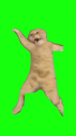 Cat Dancing to Gangnam Style | Green Screen #cat #cats #dancing #trending #fyp Original video by @arteм777