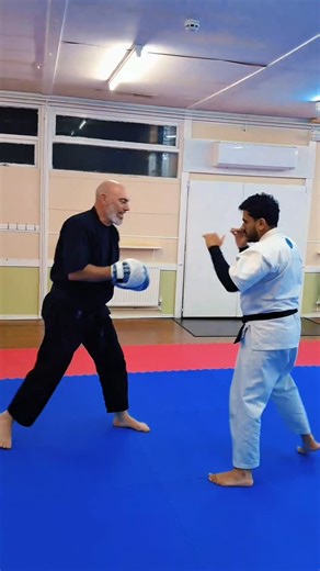 17 reactions | Pad drill from class with @makenji_karate #karate #martialarts | Brian Bates Zanshin Karate | Facebook