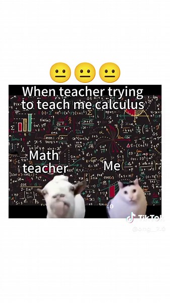 Funny Calculus Test with a Cat Meme