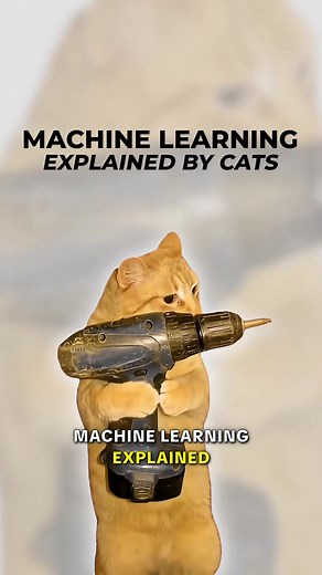 Understanding Machine Learning Through Cats